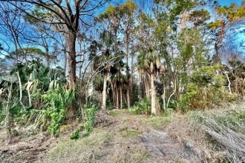 Land in New Port Richey, Florida № 1339598 - photo 21