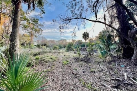 Terrain à vendre à New Port Richey, Floride № 1339598 - photo 6