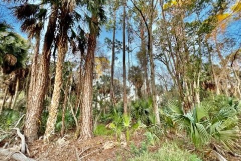 Terreno en venta en New Port Richey, Florida № 1339598 - foto 19