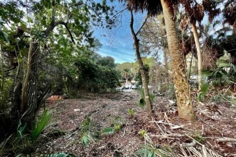 Terreno en venta en New Port Richey, Florida № 1339598 - foto 16