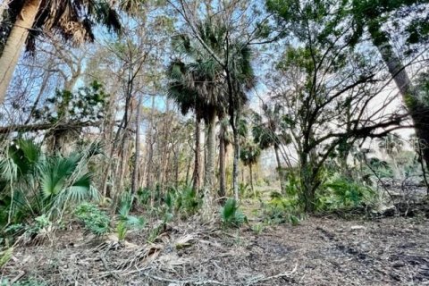 Terreno en venta en New Port Richey, Florida № 1339598 - foto 14