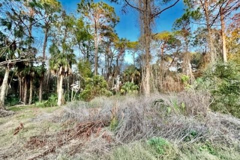 Land in New Port Richey, Florida № 1339598 - photo 24