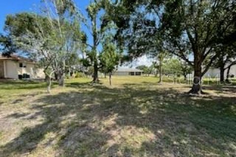 Terreno en venta en Punta Gorda, Florida № 232226 - foto 23