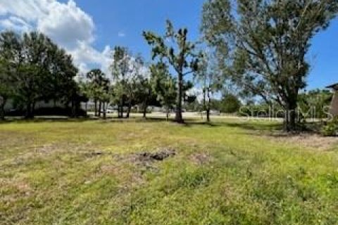 Terreno en venta en Punta Gorda, Florida № 232226 - foto 17