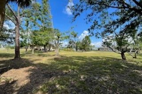 Terreno en venta en Punta Gorda, Florida № 232226 - foto 21