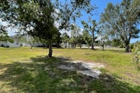 Terreno en venta en Punta Gorda, Florida № 232226 - foto 16