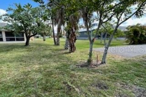 Terreno en venta en Punta Gorda, Florida № 232226 - foto 11