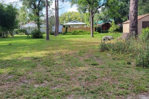 Купить земельный участок в Тампа, Флорида № 217344 - фото 5