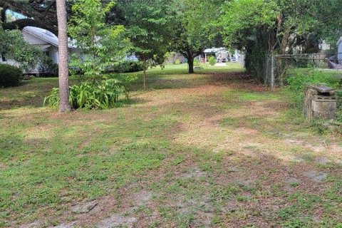 Купить земельный участок в Тампа, Флорида № 217344 - фото 2