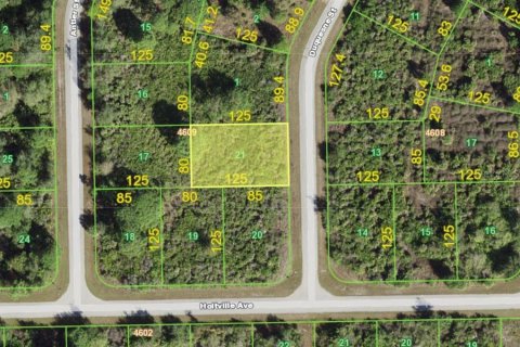 Terreno en venta en Port Charlotte, Florida № 243675 - foto 1