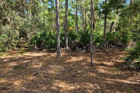 Terreno en venta en Crystal River, Florida № 1372978 - foto 4