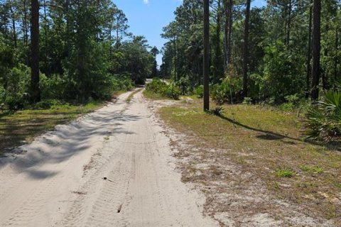 Land in Crystal River, Florida № 1372978 - photo 2