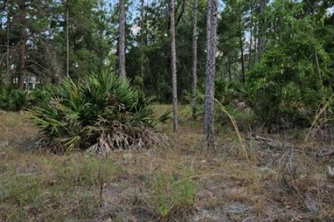 Land in Crystal River, Florida № 1372978 - photo 16