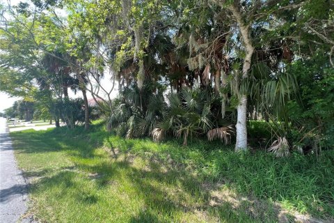 Terrain à vendre à Palm Coast, Floride № 687579 - photo 19