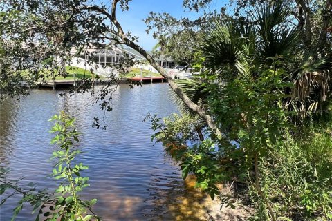 Terrain à vendre à Palm Coast, Floride № 687579 - photo 17
