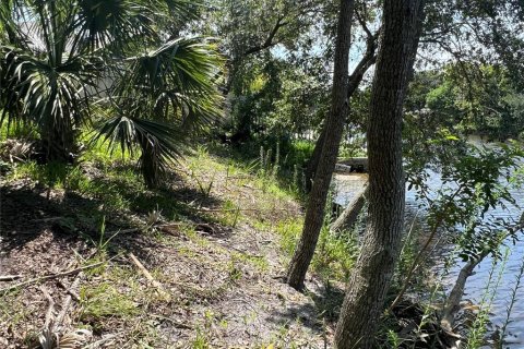 Terrain à vendre à Palm Coast, Floride № 687579 - photo 13
