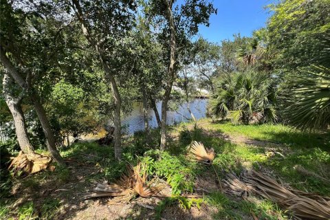 Купить земельный участок в Палм-Кост, Флорида № 687579 - фото 9