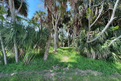 Terrain à vendre à Palm Coast, Floride № 687579 - photo 6