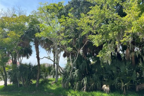 Купить земельный участок в Палм-Кост, Флорида № 687579 - фото 3