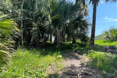 Terrain à vendre à Palm Coast, Floride № 687579 - photo 15