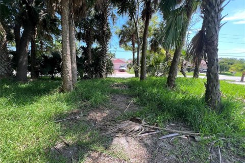 Terrain à vendre à Palm Coast, Floride № 687579 - photo 8