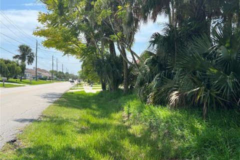 Купить земельный участок в Палм-Кост, Флорида № 687579 - фото 4