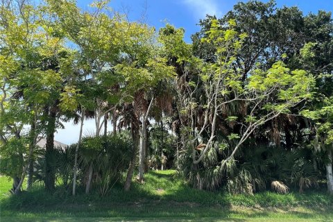 Купить земельный участок в Палм-Кост, Флорида № 687579 - фото 2