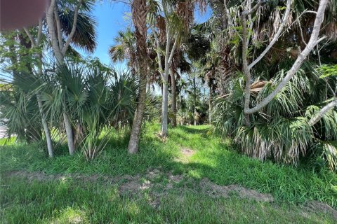 Terrain à vendre à Palm Coast, Floride № 687579 - photo 18