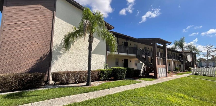 Condominio en Port Richey, Florida, 1 dormitorio  № 1343516