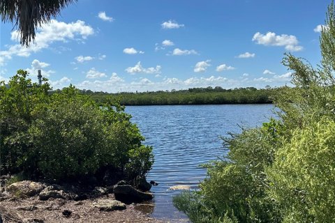 Copropriété à vendre à Port Richey, Floride: 1 chambre, 55.18 m2 № 1343516 - photo 14