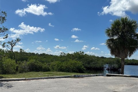 Condo in Port Richey, Florida, 1 bedroom  № 1343516 - photo 26