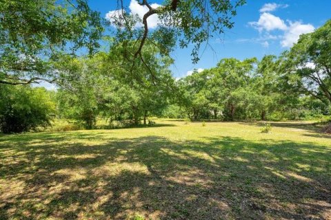 Terreno en venta en Ocoee, Florida № 1163333 - foto 18