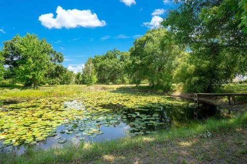 Land in Ocoee, Florida № 1163333 - photo 10