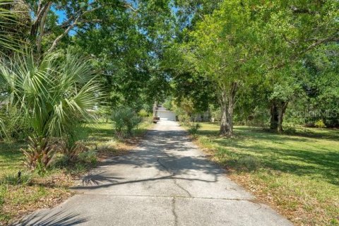 Land in Ocoee, Florida № 1163333 - photo 7