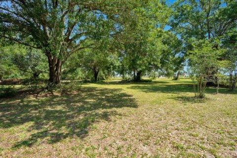 Terrain à vendre à Ocoee, Floride № 1163333 - photo 4