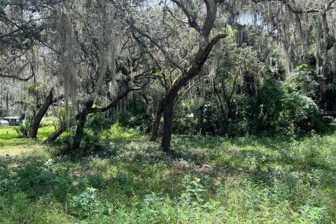 Terreno en venta en Lake Panasoffkee, Florida № 1326106 - foto 1