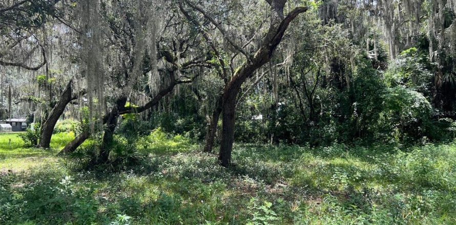 Terreno en Lake Panasoffkee, Florida № 1326106