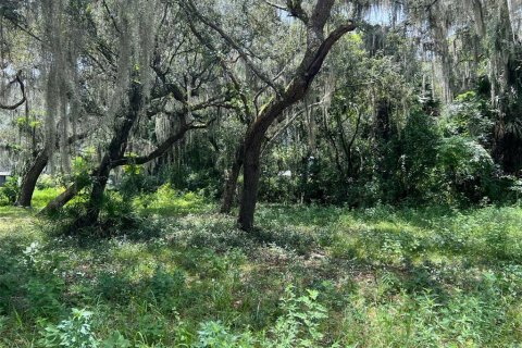 Terreno en venta en Lake Panasoffkee, Florida № 1326106 - foto 2