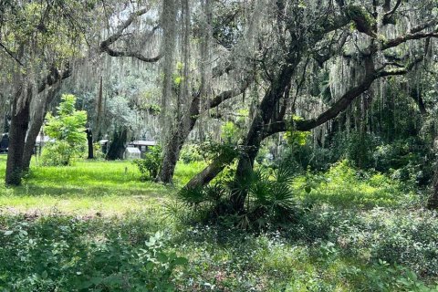 Terreno en venta en Lake Panasoffkee, Florida № 1326106 - foto 5