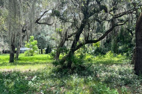 Terreno en venta en Lake Panasoffkee, Florida № 1326106 - foto 7