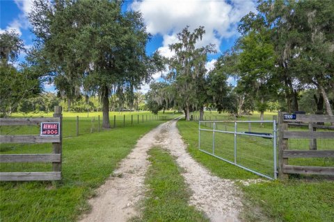 House in Floral City, Florida 5 bedrooms, 186.73 sq.m. № 1347063 - photo 26