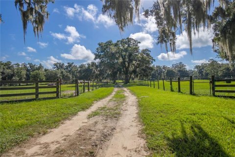 Villa ou maison à vendre à Floral City, Floride: 5 chambres, 186.73 m2 № 1347063 - photo 29