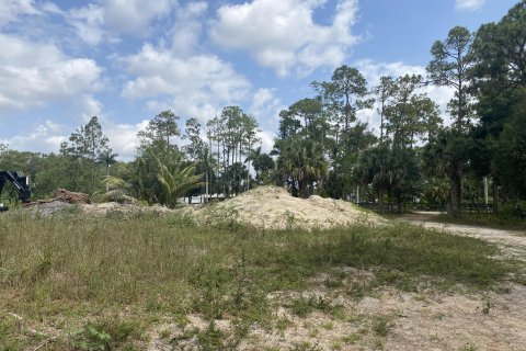 Terrain à vendre à Loxahatchee Groves, Floride № 1188545 - photo 3