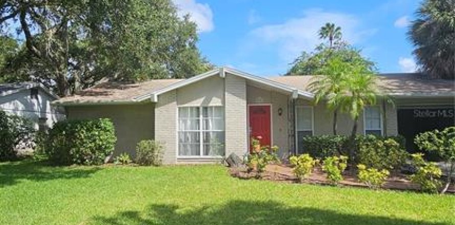 House in Tampa, Florida 3 bedrooms, 167.69 sq.m. № 1352919