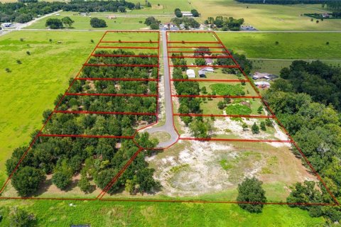 Terreno en venta en Dade City, Florida № 1352914 - foto 3