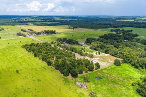 Terreno en venta en Dade City, Florida № 1352914 - foto 2