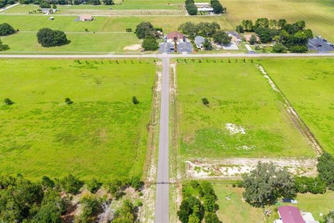 Terrain à vendre à Dade City, Floride № 1352914 - photo 4