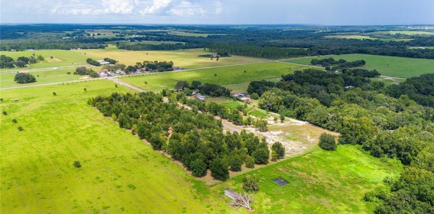 Terreno en Dade City, Florida № 1352912