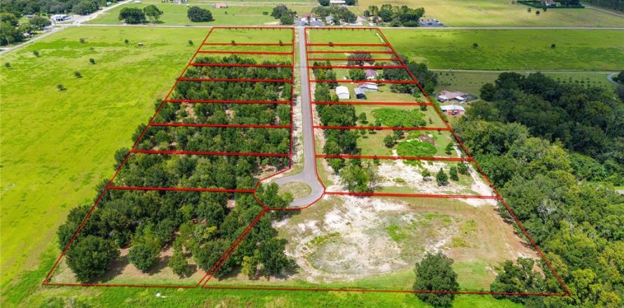 Land in Dade City, Florida № 1352911