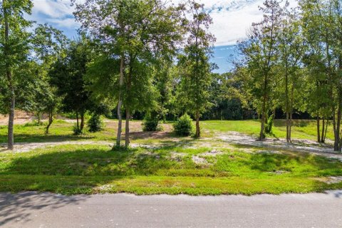 Terreno en venta en Dade City, Florida № 1352911 - foto 8